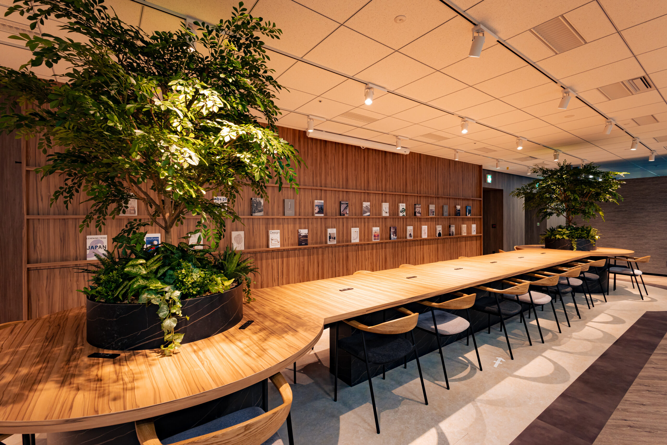 Corporate Information